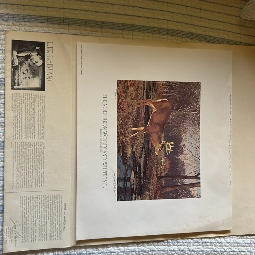 Lee Le Blanc 1981 Northern Woodland Whitetail Stamp, Print, Signed, Numbered - Picture 10 of 12